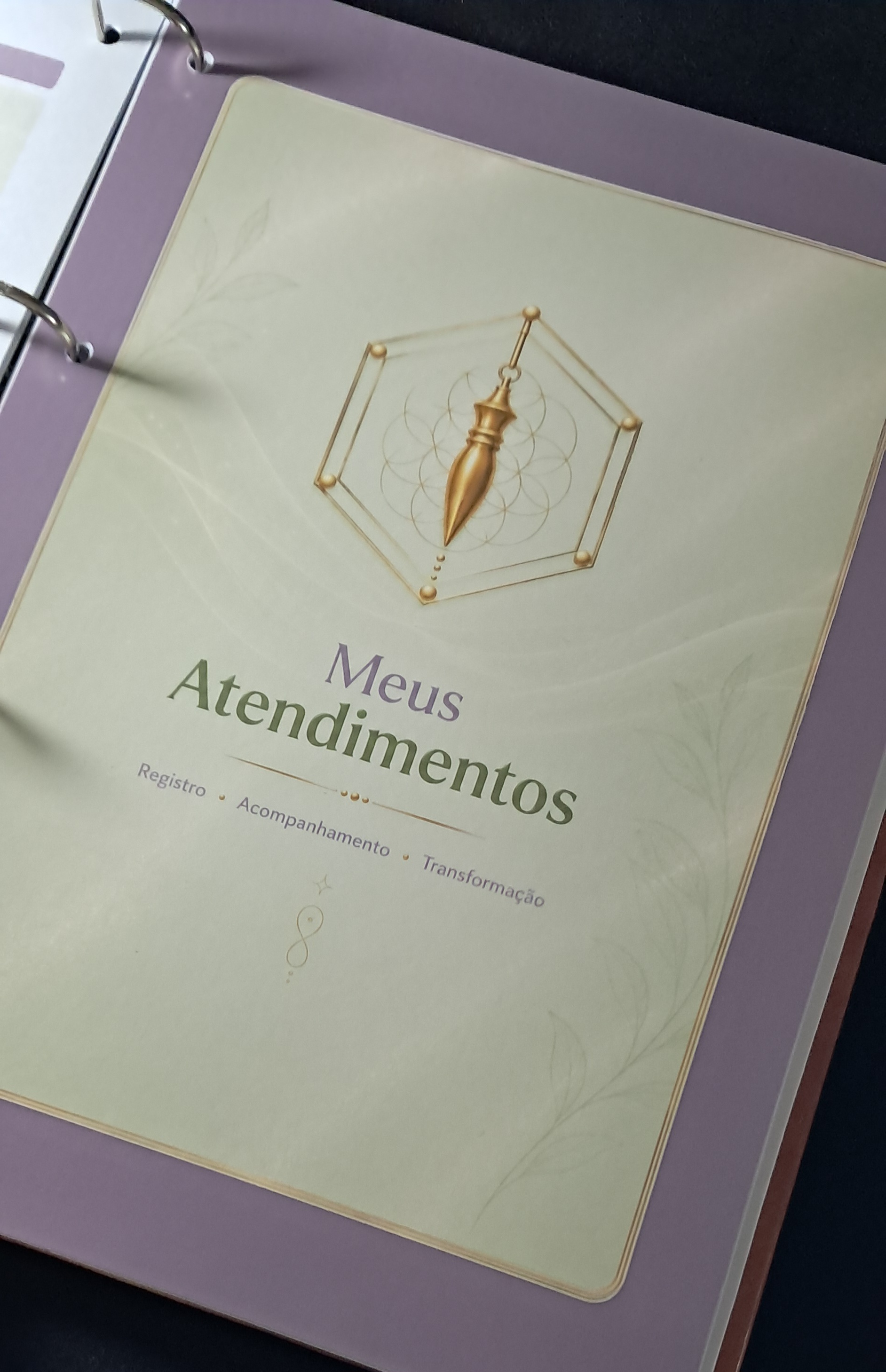 Divisória Meus Atendimentos do Caderno Radiestônica A4