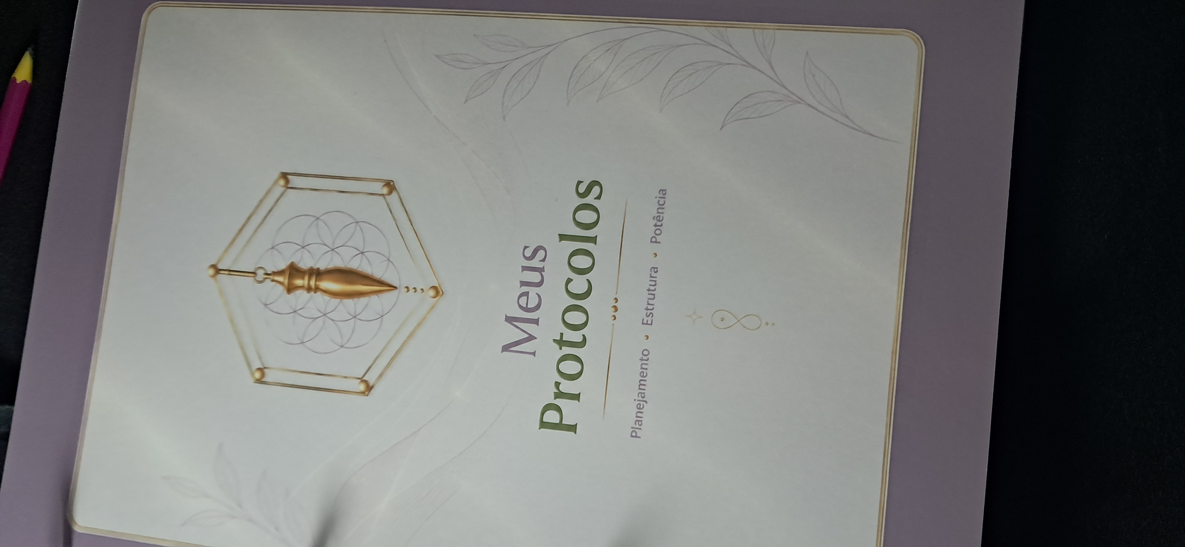 Seção Meus Protocolos do caderno A4