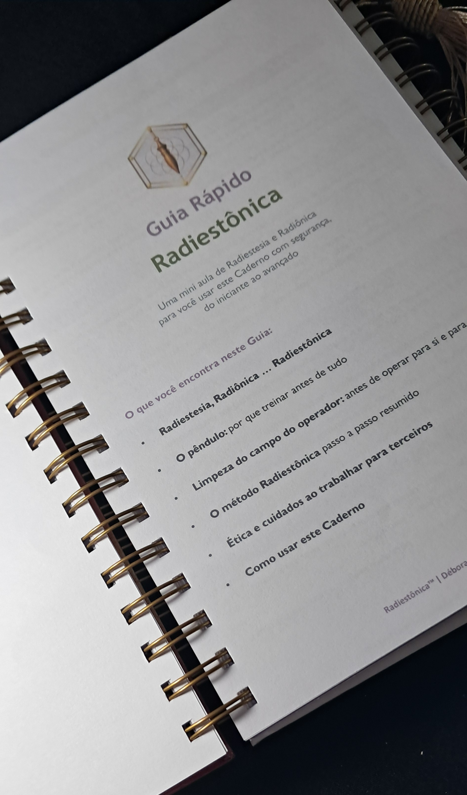 Guia rápido de radiestesia nas primeiras páginas do caderno A5